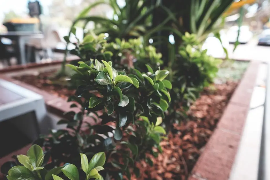 Greens & Outdoors at KOLTE PATIL IVY ESTATE, Wagholi, Pune