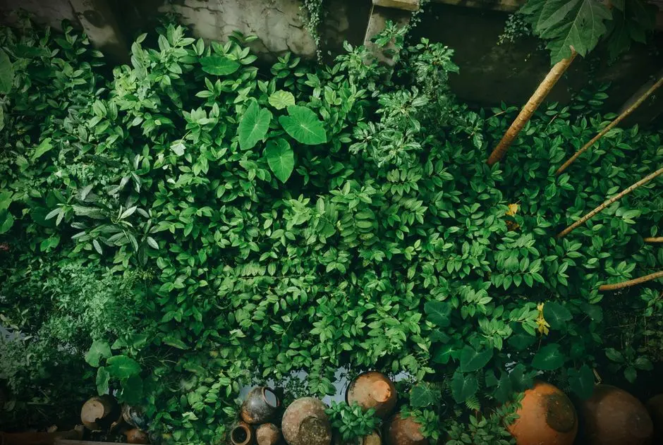 Greens & Outdoors at KOLTE PATIL 24K NIBM, Pune