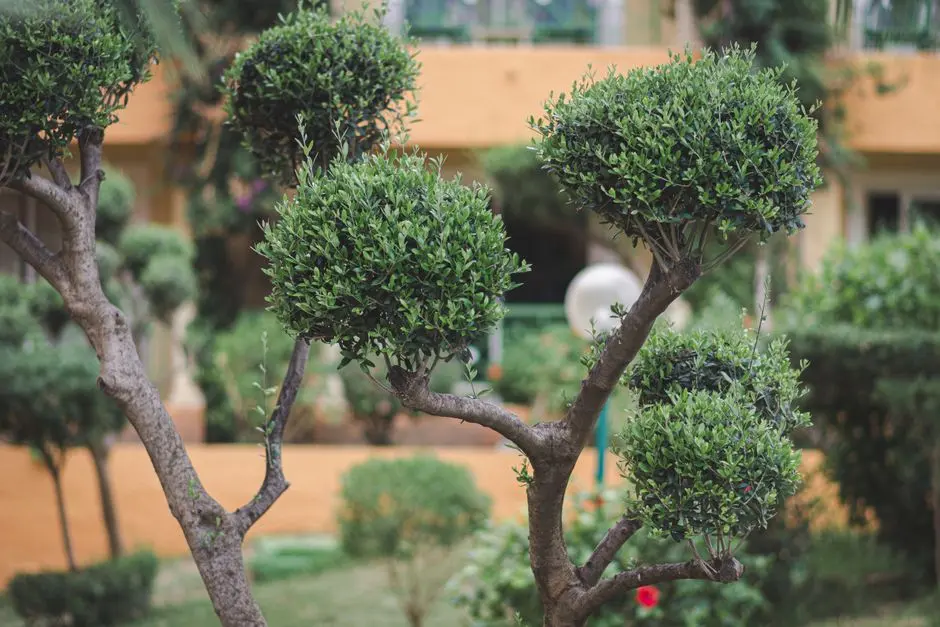 Greens & Outdoors at KOLTE PATIL LIFE REPUBLIC UNIVERSE, Hinjewadi Phase 2, Pune