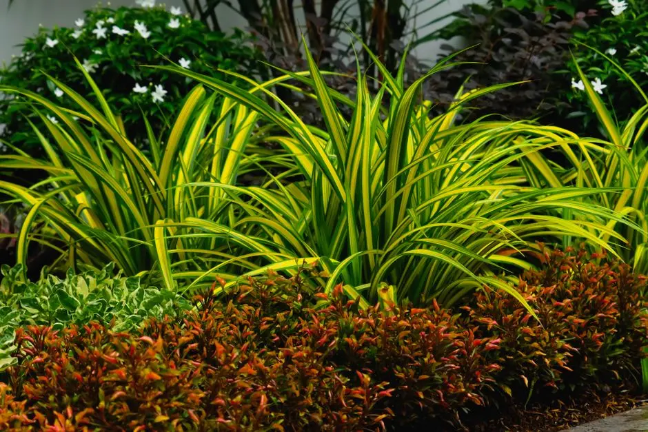 Greens & Outdoors at KOLTE PATIL MIRABILIS, Horamavu, Bangalore