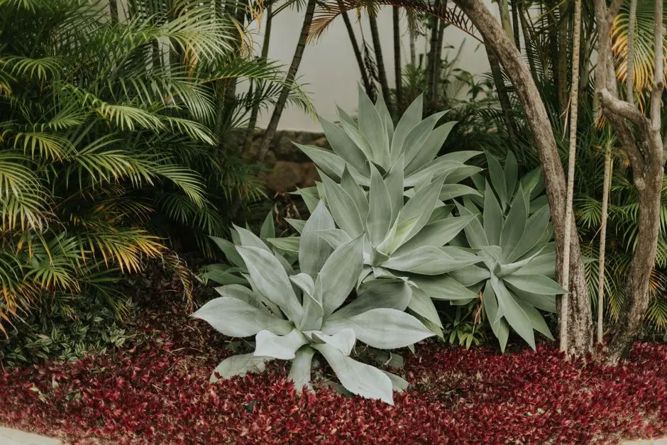 Greens & Outdoors at KOLTE PATIL 24K KHARADI, Pune
