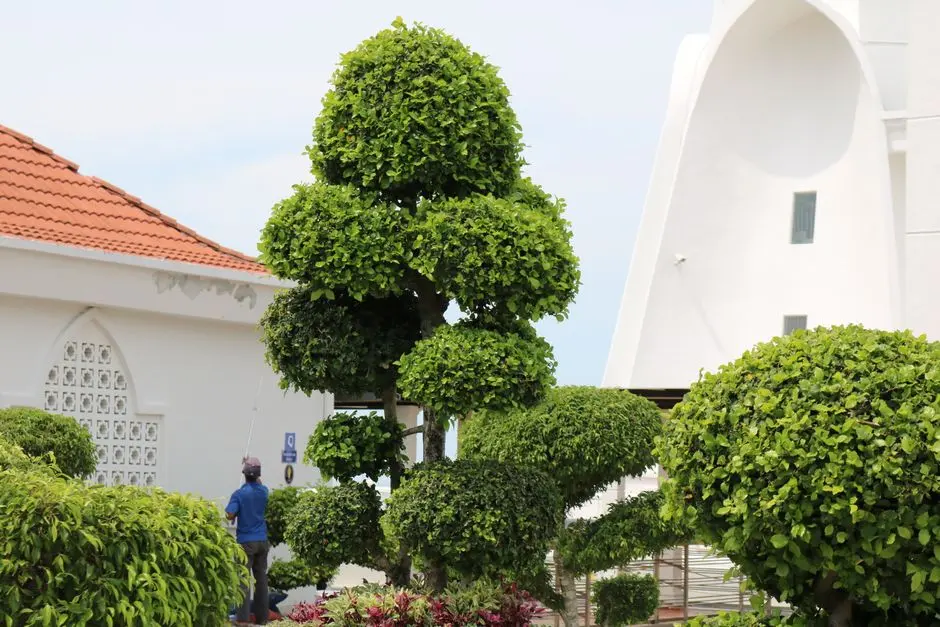 Greens & Outdoors at KOLTE PATIL IVY NIA, Vithalwadi, Wagholi, Pune