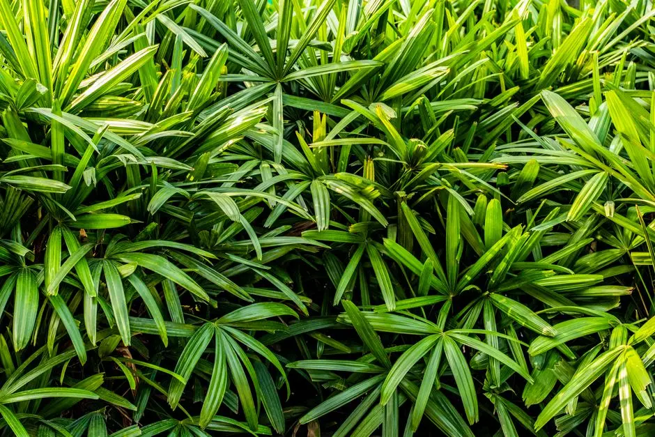Greens & Outdoors at KOLTE PATIL MISTY MOORS, Undri, Pune