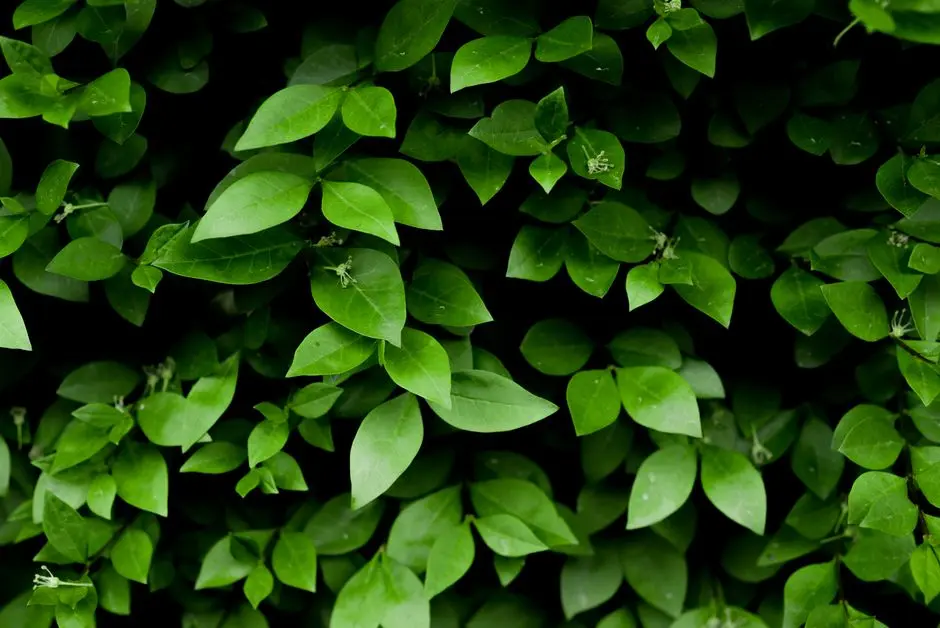 Greens & Outdoors at KOLTE PATIL WADGAON KHURD, Pune